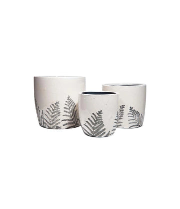 Pot Fern Leaf Design
